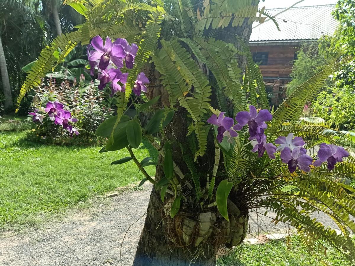 Hotel Nary Garden Kâmpôt Zewnętrze zdjęcie